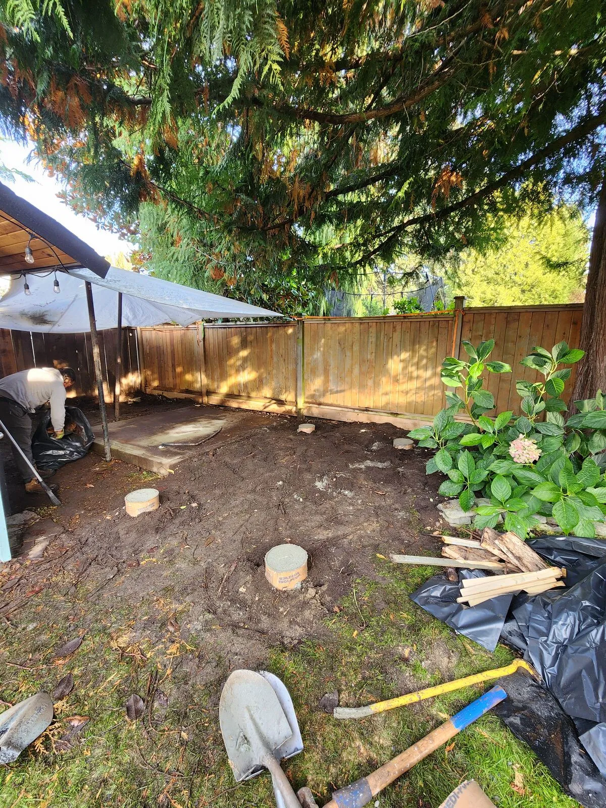 Starting from a bare dirt yard