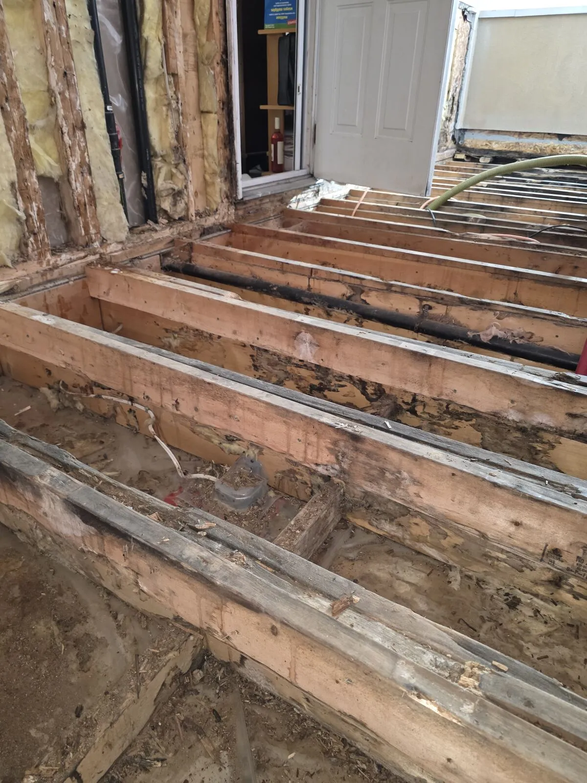 Demo: vinyl, plywood and insulation off — finding the damage