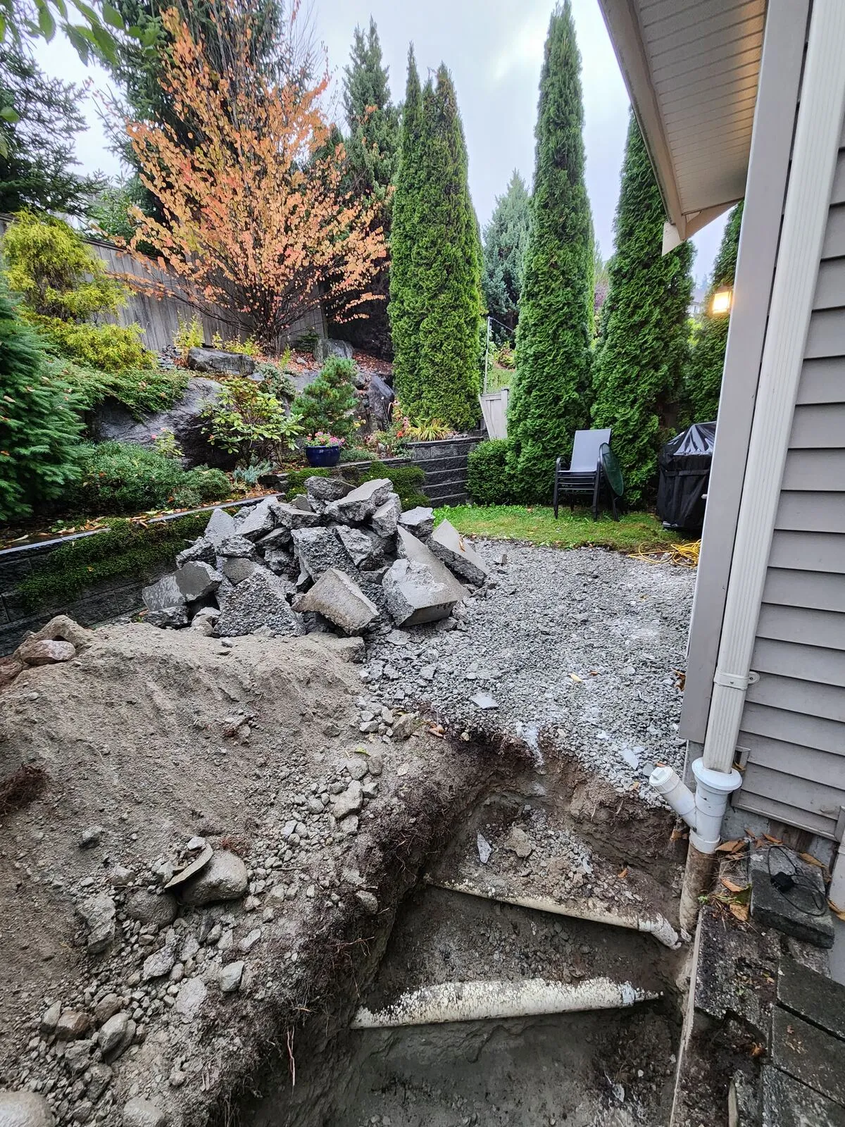 What the backyard looked like before