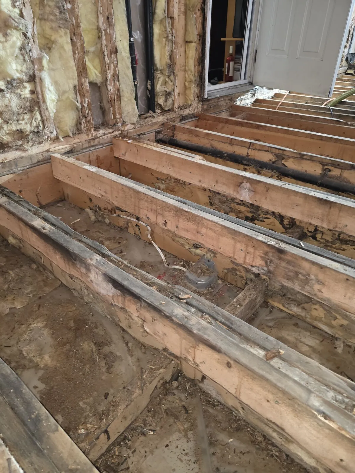 Demo: vinyl, plywood and insulation off — finding the damage