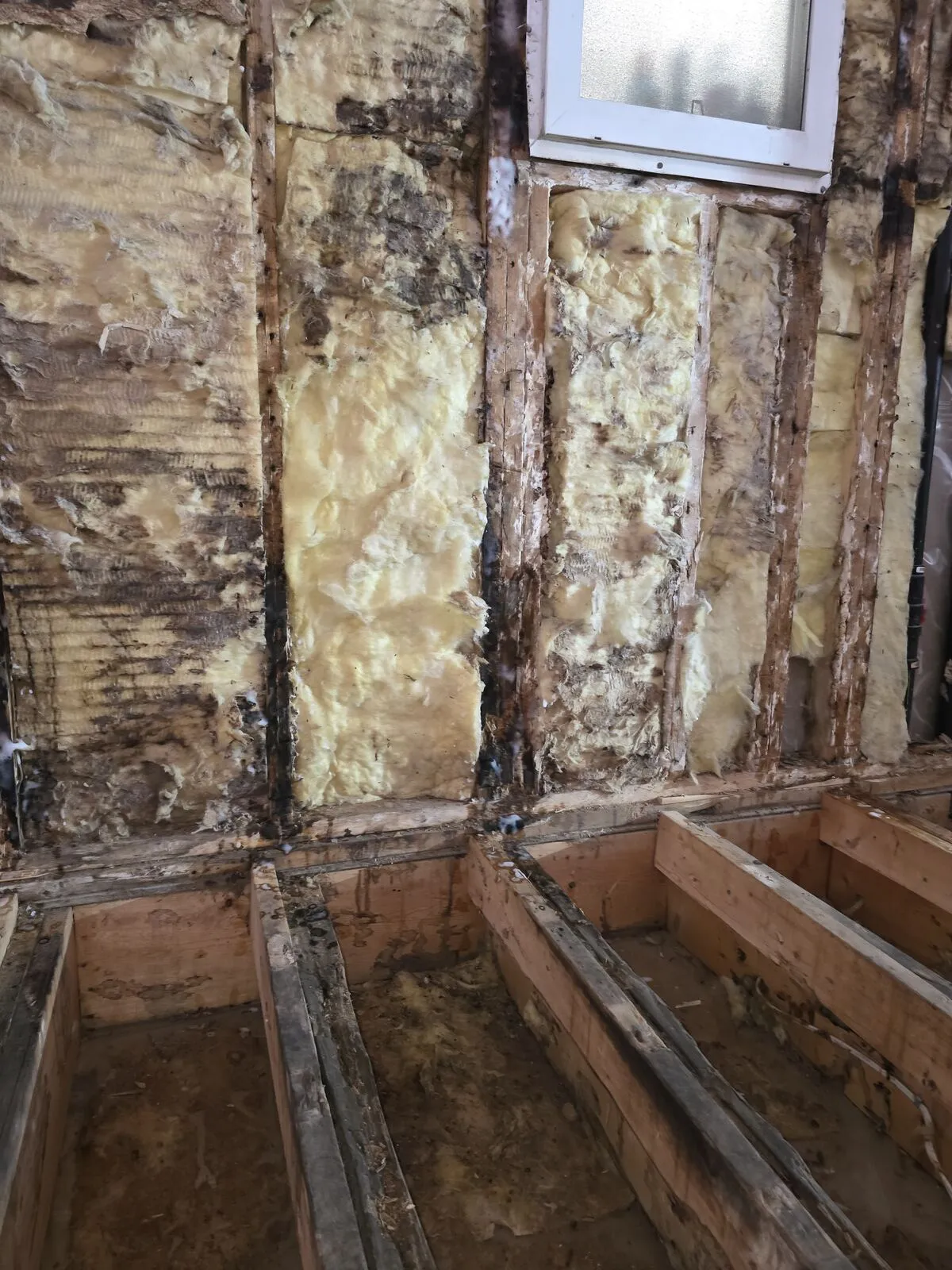 Demo: vinyl, plywood and insulation off — finding the damage