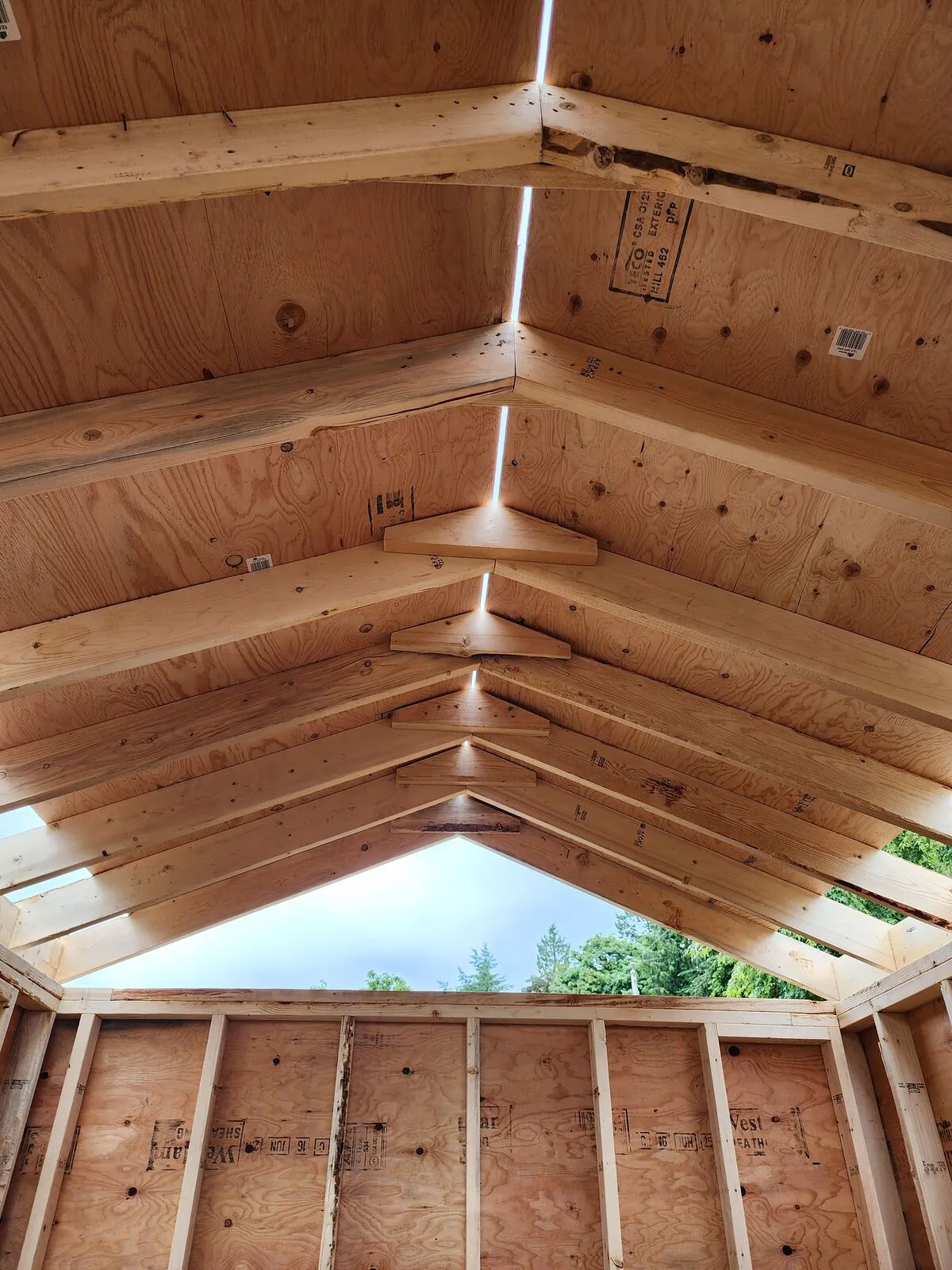 A vaulted gable roof — framed open on purpose