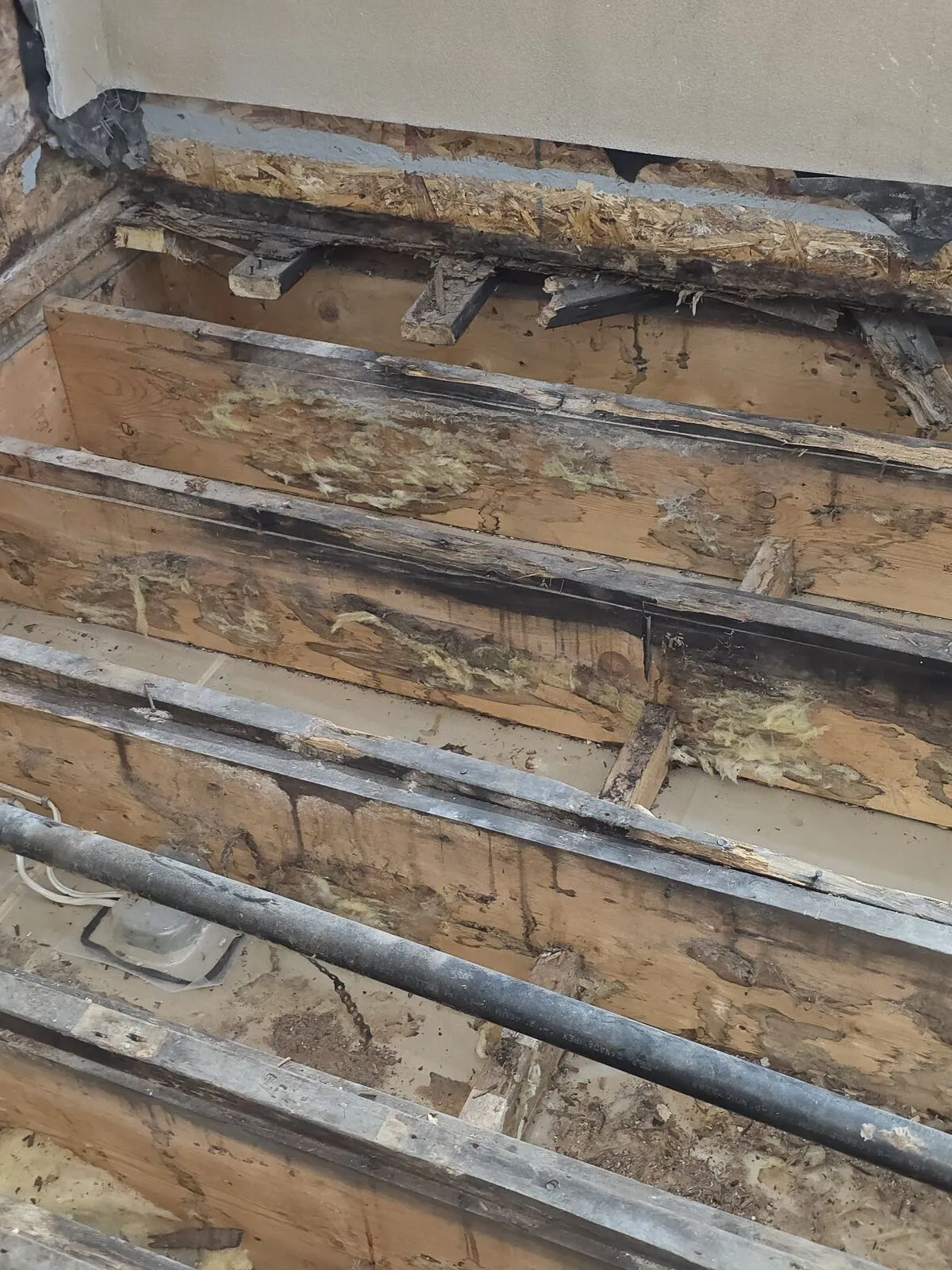 Demo: vinyl, plywood and insulation off — finding the damage
