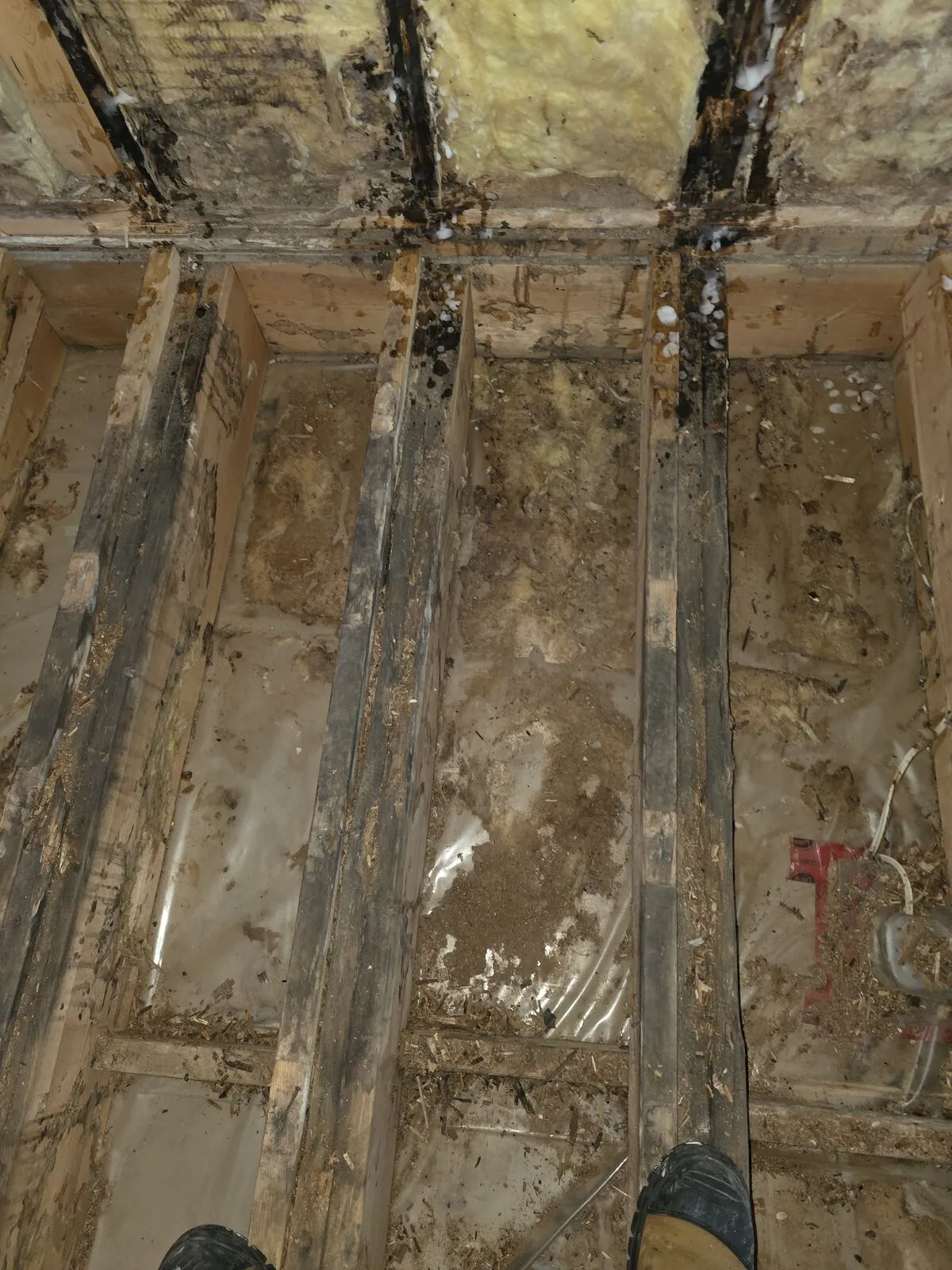 Demo: vinyl, plywood and insulation off — finding the damage