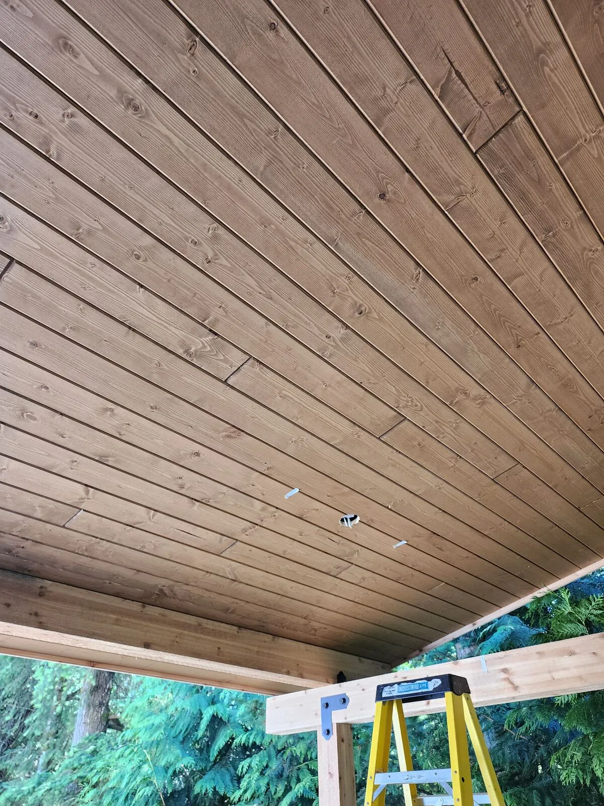 Cedar tongue-and-groove ceiling