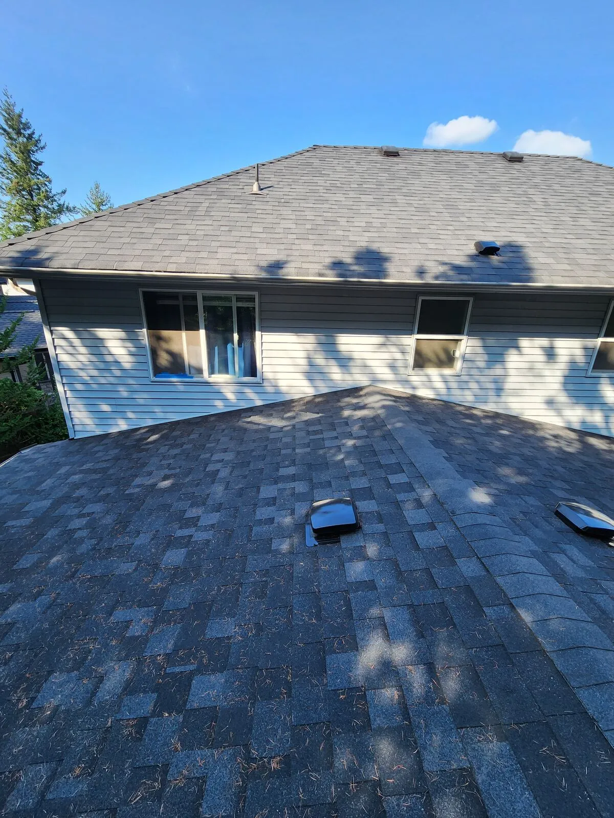 Shingled roof, gutters and downspouts